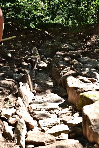 DSC_0705-1